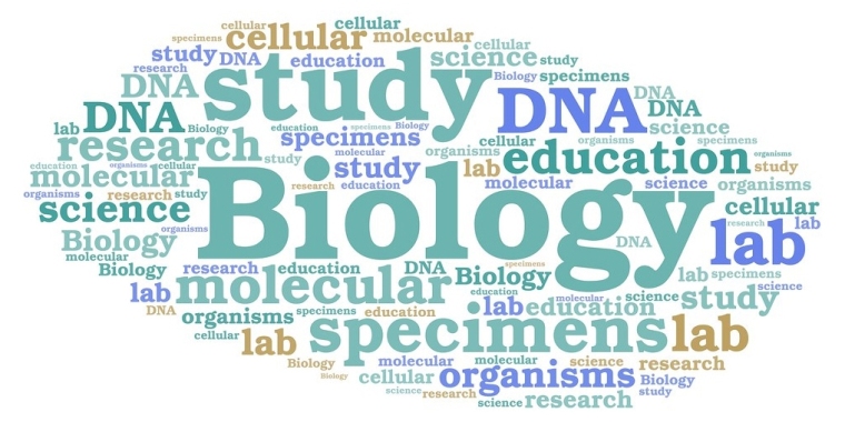 The Benefits of Models, Specimens & Objects in Teaching of Biological Science!